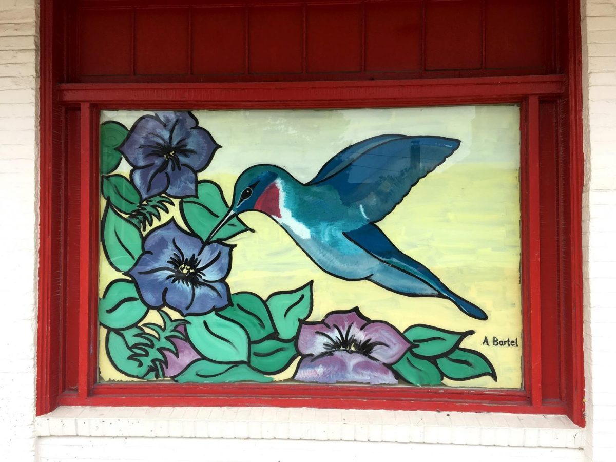 A+hummingbird+painted+by+Amy+Bartel+decorates+the+empty+window+of+Folletts+Miami+Co-Op+Bookstore.+Photograph+by+Julia+Arwine