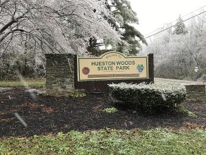 Hueston Woods, captured on an icy Thursday afternoon, has been a state park since 1957. Photo by Patrick Keck
