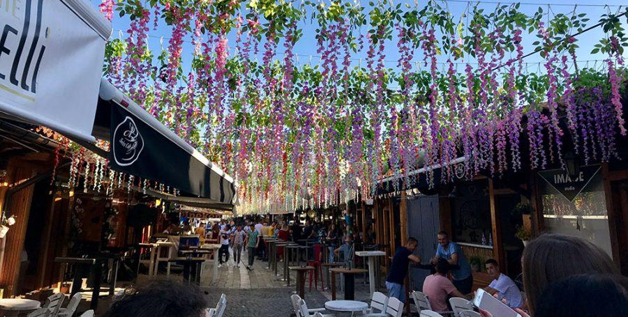  The streets were strung with flowers during Carshia Fest, a popular music festival in Kosovo. <em>Photo by Darby Grant.</em><br>