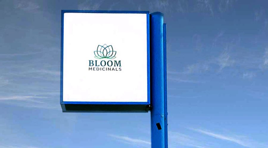 <strong>In addition to selling a range of cannabis products, Bloom Medicinals will also hold informational sessions for patients. Photo provided by Bloom Medicinals.</strong><br>
