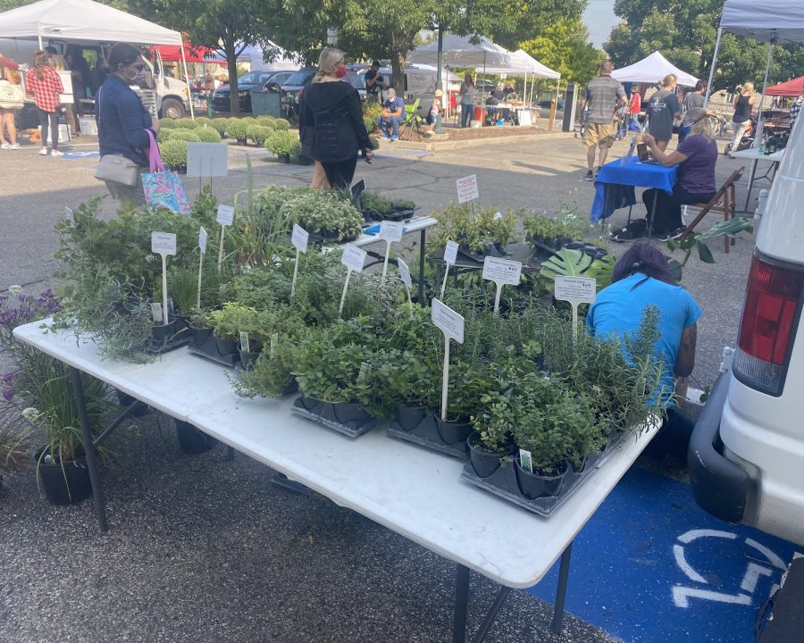 Plants+and+herbs+on+sale+at+last+weeks+Farmers+Market