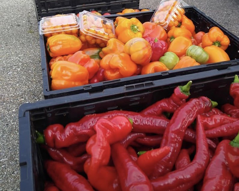Boxed peppers at Saturday's market