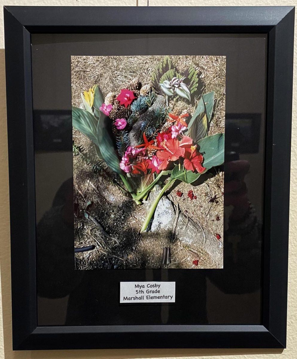 This+photo+of+a+bouquet+Mya+Cosby%2C+a+fifth+grade+student%2C+is+one+of+15+pictures+in+an+exhibition+by+Marshall+Elementary+School+students+on+display+at+the+Oxford+Community+Arts+Center.