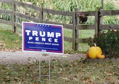 Election yard signs continue to sprout up around town