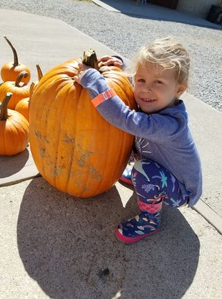 Jane Field's daughter selects a pumpkin at Wendel's Farm