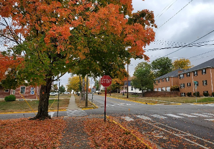 Leaves build up along E. Spring Street.