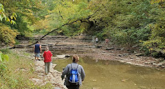 Volunteers search the area where Michael McKenney was last seen at Hueston Woods State Park