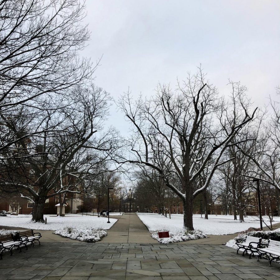 Snow covers the grass but not the walkways outside of King Library on Tuesday morning. Photo by Kayla Kamil