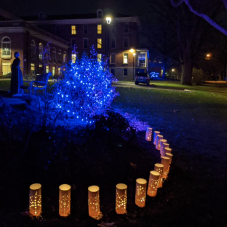 Luminaria and light displays in the gardens of the Oxford Community Arts Center are part of the interactive festivities going on in Uptown Oxford this holiday season.
