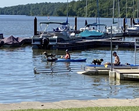 State issues bacteria contamination advisory for Acton Lake
