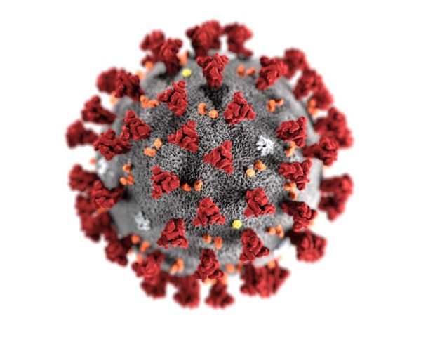 This representation of the COVID-19 virus shows spikey proteins on the shell. Konkolewicz says his team is looking for polymers that can disrupt the shell.