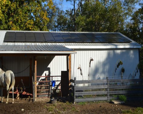 Kathleen German uses solar panels on her barn roof to help power her Preble County farm.