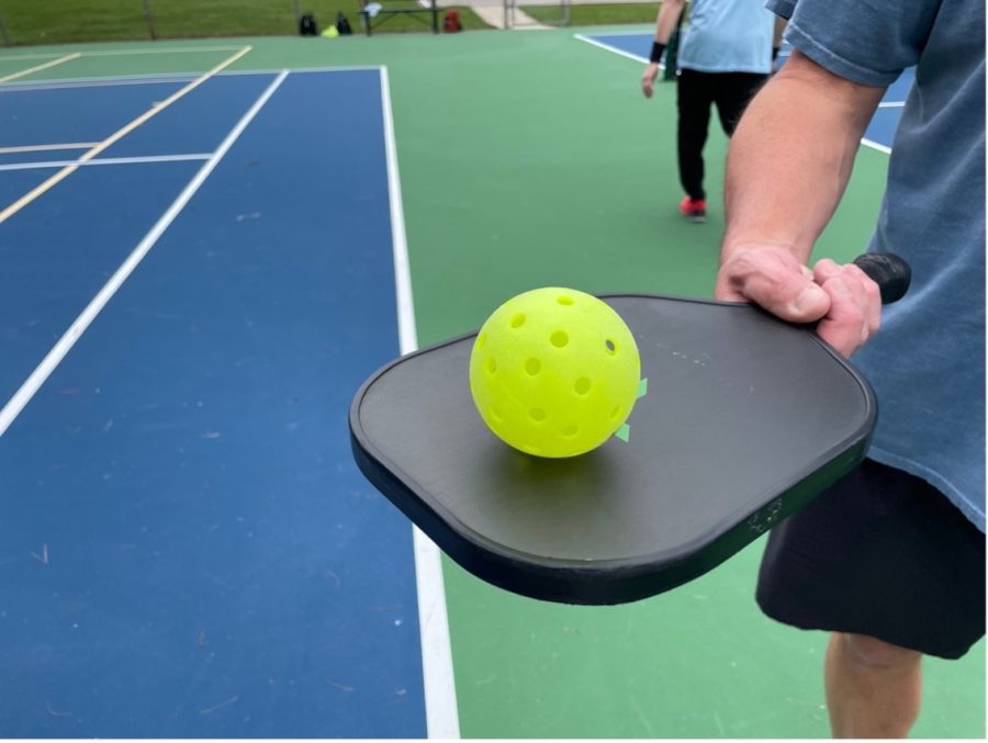 Official pickleball balls, while resembling a wiffle ball, are yellow and paddles must be a solid color according to the USA pickleball rules summary. 
