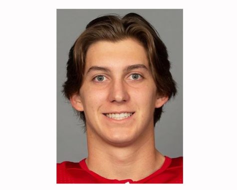 Detroit Red Wings Headshots – MiHockey