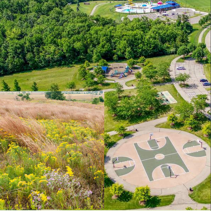 On the lower left of this photo of the Oxford Community Park is an example of the kind of prairie grass that officials imagine. 
