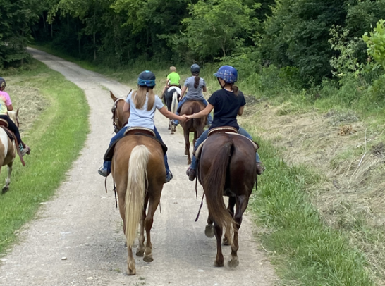 Indian Creek Farm offers access to horses, birds and other wildlife on a 350-acre farm in Oxford.