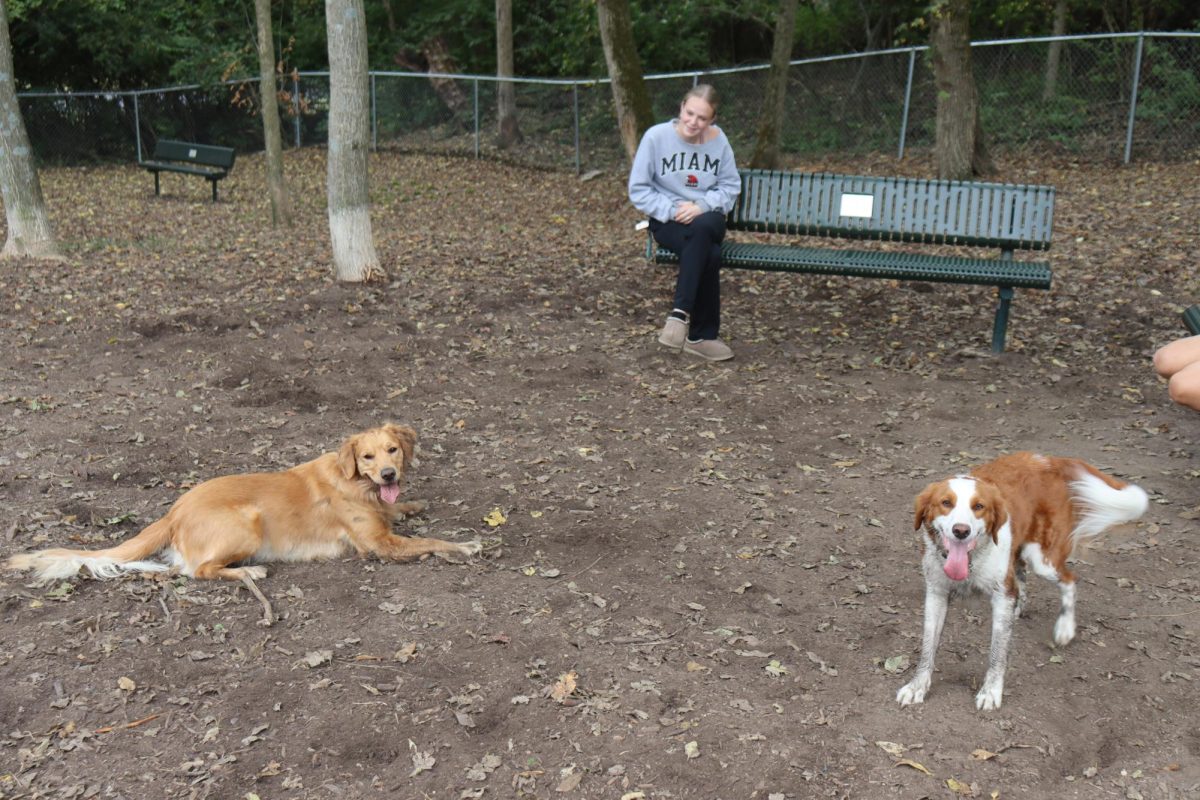 Miami University students often take advantage of Oxford’s small dog park, Northside Bark, when family members visit with their pets.