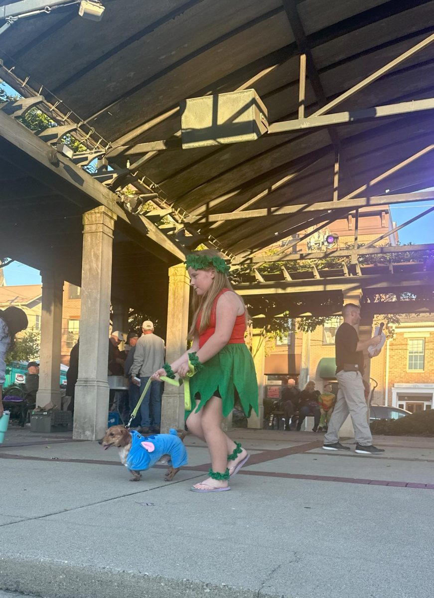 Wiener dog, Rider, dressed as Stitch from Disney film "Lilo and Stitch."