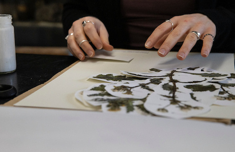 Miami’s herbarium highlights its spooky plants for Halloween