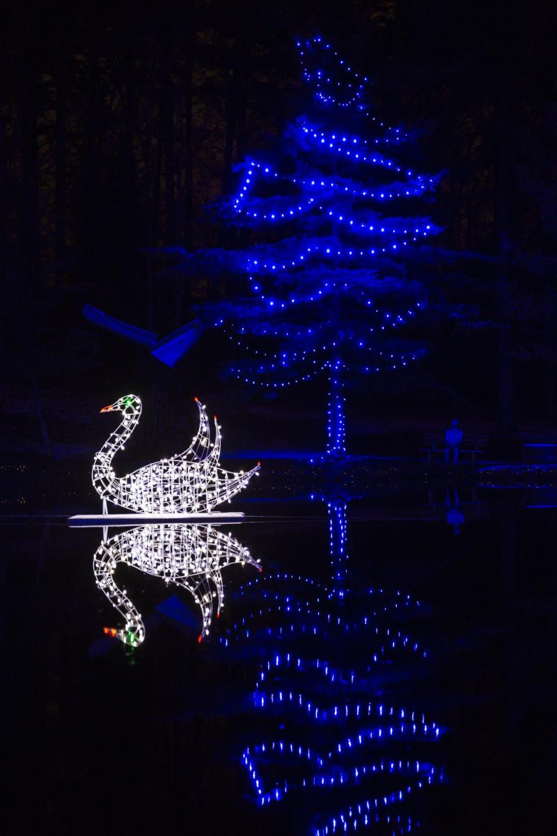 A light structure of a swan floats in the middle of a pond at Pyramid Hill. Photo provided by Pyramid Hill Press Release. 