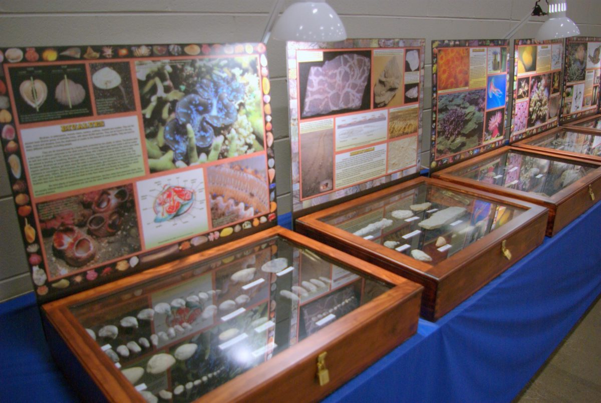 GeoFair features  ‘Unusual Fossils & Crystals’